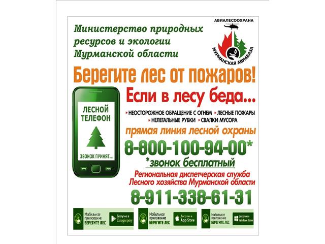 Баннеры